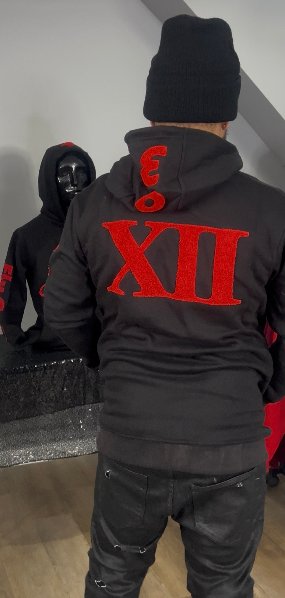 Bag Billionaires (Flu Game 12's) Hoodie